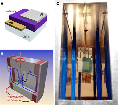 Angular-Dependent EDMR Linewidth for Spin-Dependent Space-Charge-Limited Conduction in a Polycrystalline Pentacene